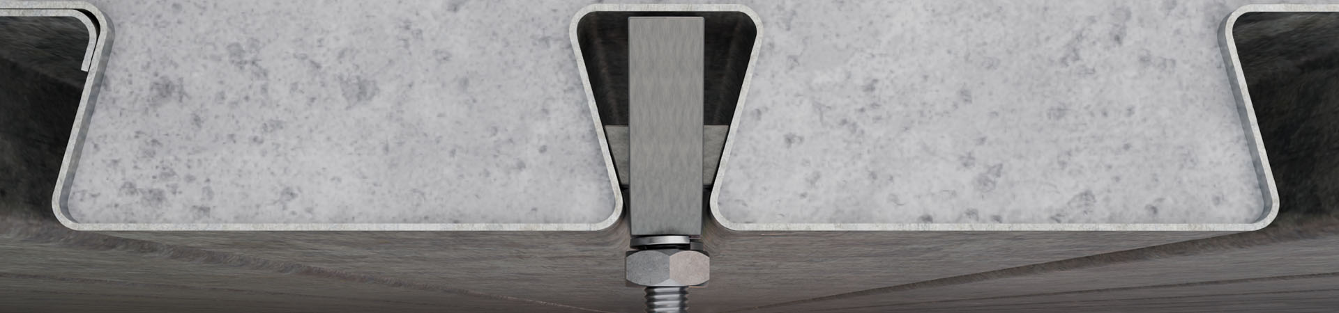 Pintail Banner